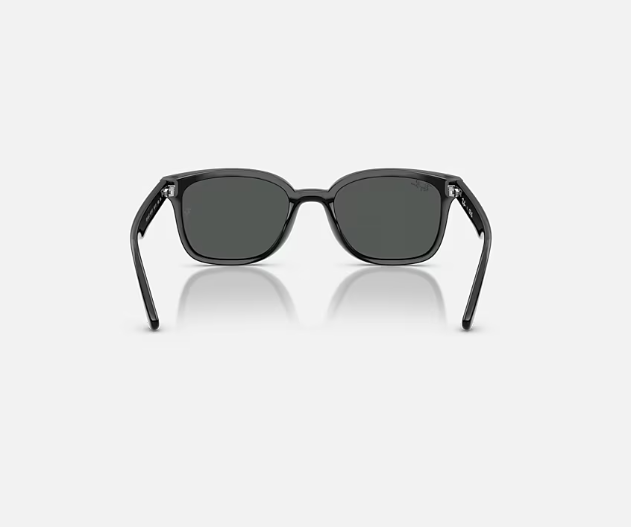 Ray-Ban RB4461D Black w/ Dark Grey