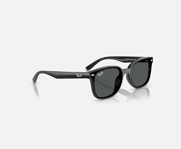 Ray-Ban RB4461D Black w/ Dark Grey