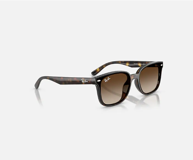 Ray-Ban RB4461D Havana w/ Gradient Brown