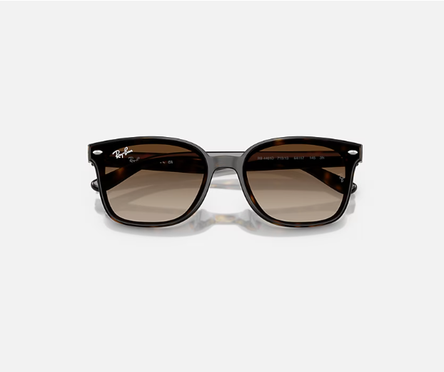 Ray-Ban RB4461D Havana w/ Gradient Brown