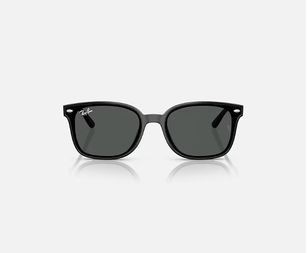Ray-Ban RB4461D Black w/ Dark Grey