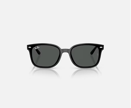 Ray-Ban RB4461D Black w/ Dark Grey