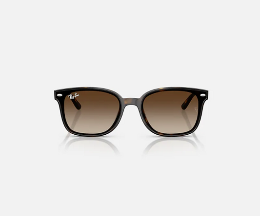 Ray-Ban RB4461D Havana w/ Gradient Brown