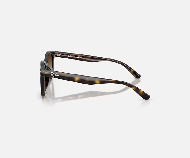 Ray-Ban RB4461D Havana w/ Gradient Brown