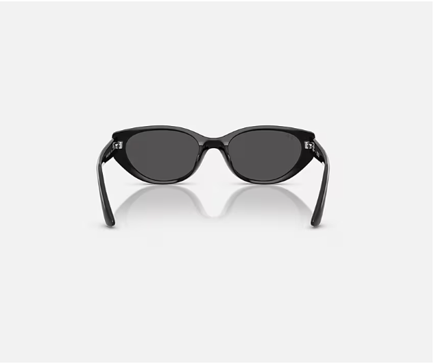 Ray-Ban Bio-Based Sunglasses Black W/Dark Grey