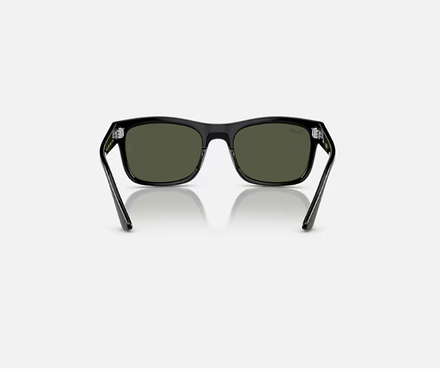Ray-Ban RB4428