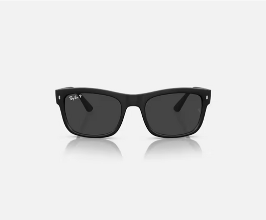 Ray-Ban ORB4428 Matte Black w/ Polar Black