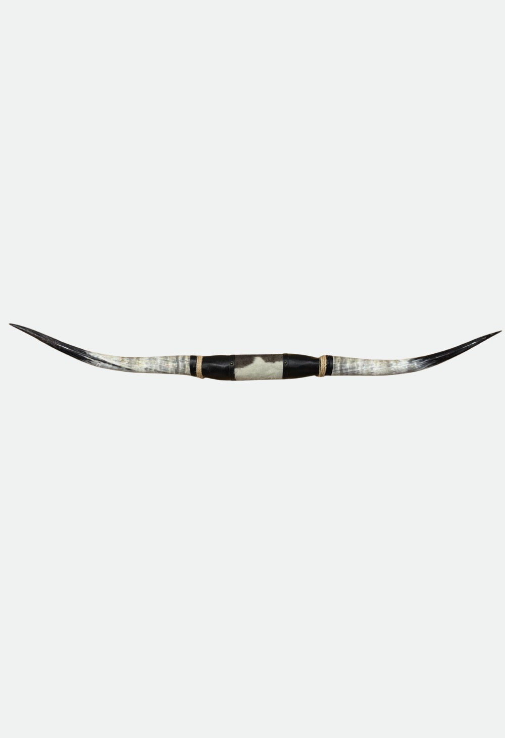 Texas Long Horn Jumbo Don't mess with Texas