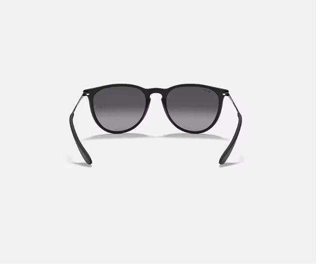 Ray-Ban Erika RB4171