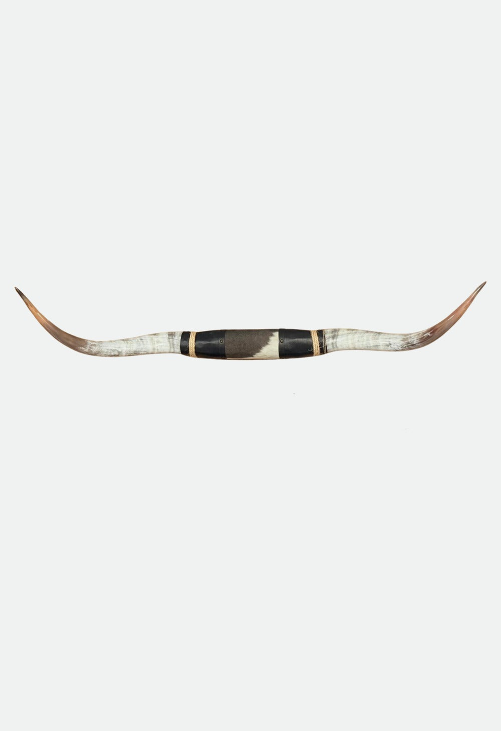 Texas Long Horn Jumbo Don't mess with Texas