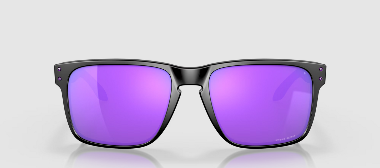 v2_2e94275e-822a-4281-81ab-8520583f7ba0_Matte Black Violet